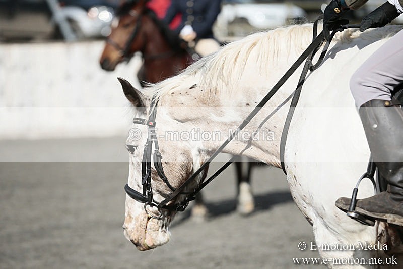 BVRC SJ 170319 171 - Bourne Valley Riding Club Showjumping 17/03/19