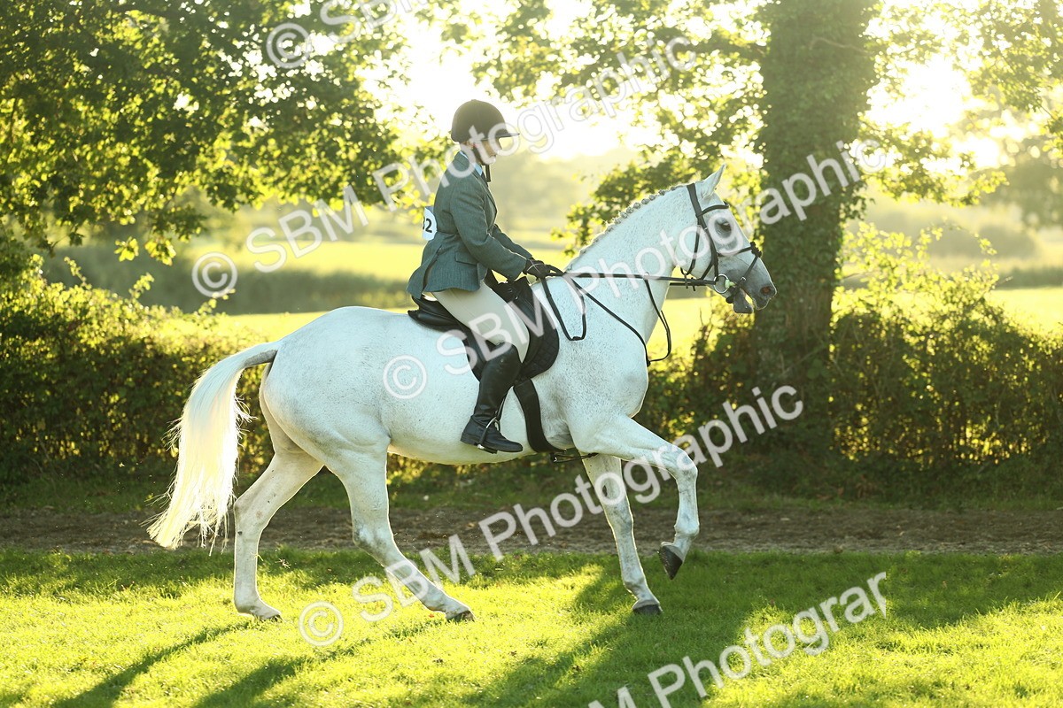 SBM_56406 - S14 - Riding Club Horse
