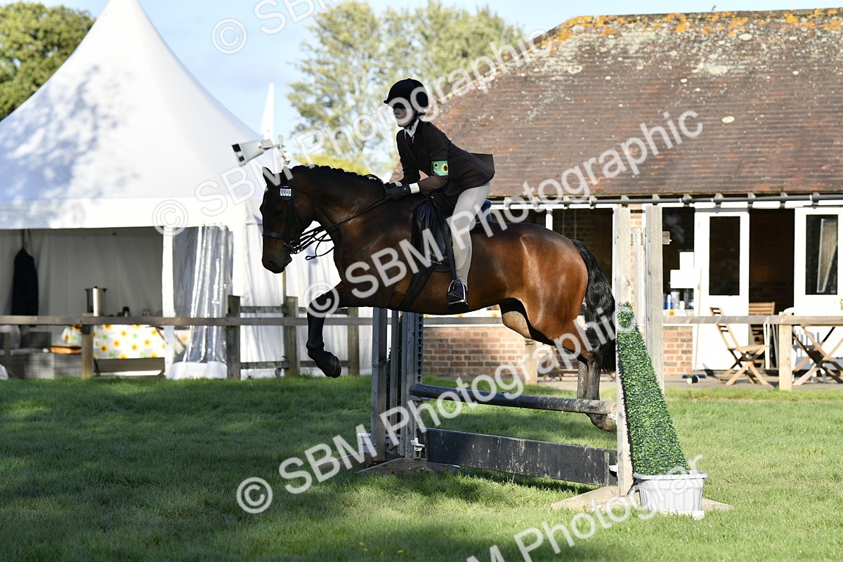 SBM_53533 - S14 - Riding Club Horse