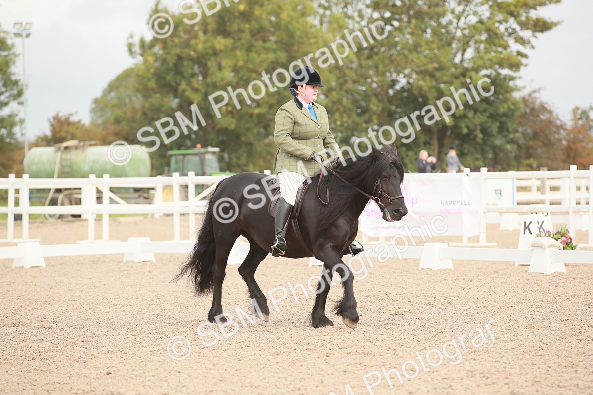 SBM_02556 - Class 30 - Intro 1