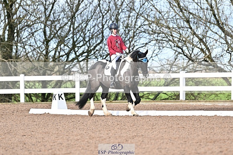 241214-112436-01393 - 130-Alys.Matravers-Tiger.Mazariti