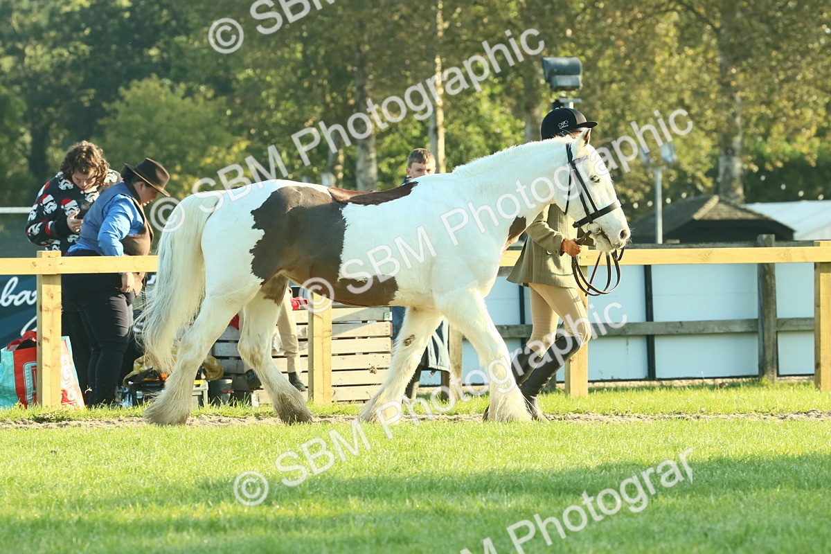 SBM_57326 - S37 - Starters In Hand Showing