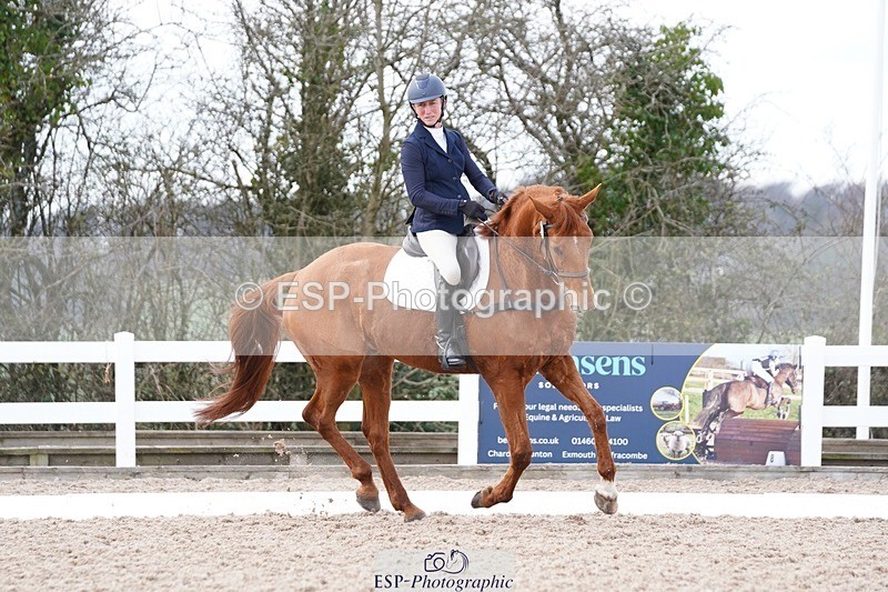 250322-132028-00485 - DR Elementary 2 Test