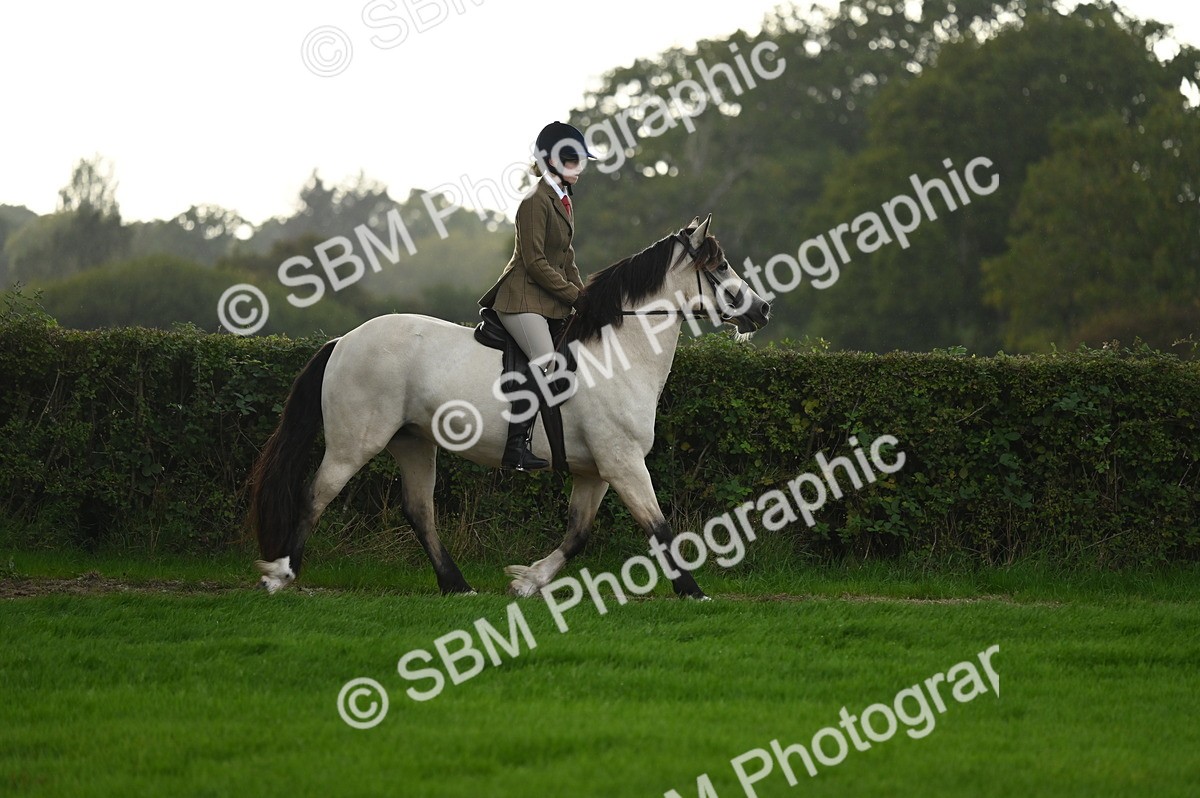 SBM_26580 - S7 - Novice & Newcomer Ridden Pony