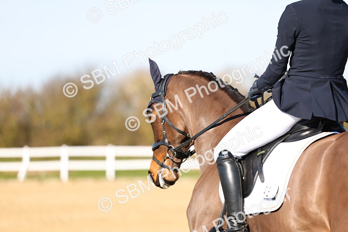 026A8849 - Class 7 - Elementary 4