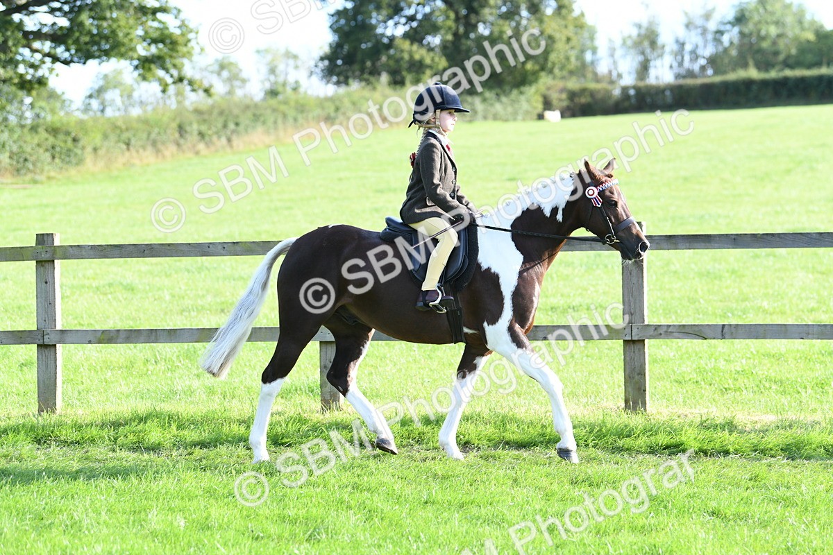 SBM_52392 - S22 - 1st Ridden Show & Show Hunter Pony