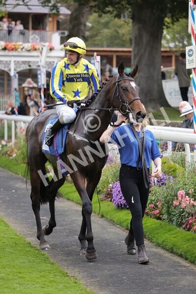 yr09102021r5-30 - Race 5 3.50pm Coral ebfstallions.com Novice Stakes