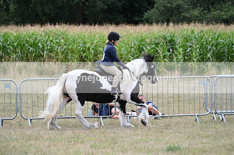 WJ7_5354 - Class 12 Ridden Cob