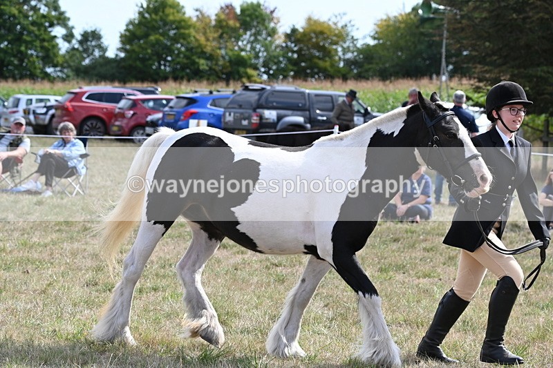 WJ6_6639 - Class 20 In-hand Cob