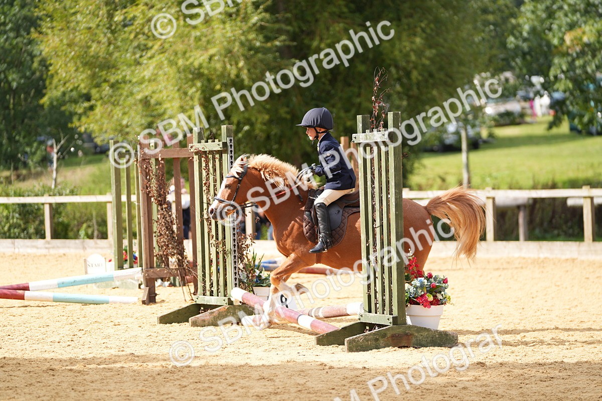 SBM_64513 - J2 - Mini Tour Junior Pony 30cm Championship