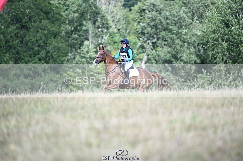 250803A-165301-17062 - R-802-Freddie.Taylor-BEST.KEPT.CHILLED