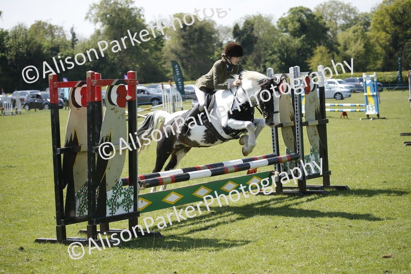 20250427-2287 - Class 13 - Novice Jumping 60cm