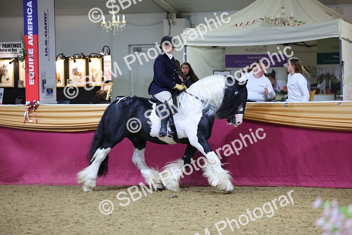 SBM_19205 - Class J Coloured Champ