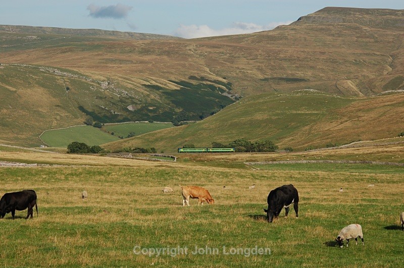 2.10.07 158784 14.49 Leeds - Carlisle, Birkett Common - Birkett Common (southbound)