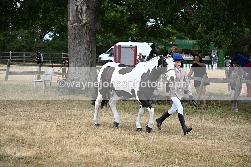 WJ6_8123 - Class 10 Coloured in Hand