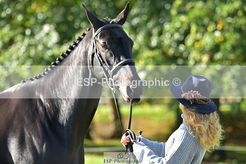 241023-130147-00028 - 002-Ellie.Fredericks-BRITANNIA'S.OLIVE