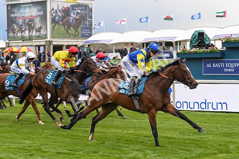 130526-Race 6-Startled-3448 - Race 6 4.40pm Conundrum HR Consulting Handicap