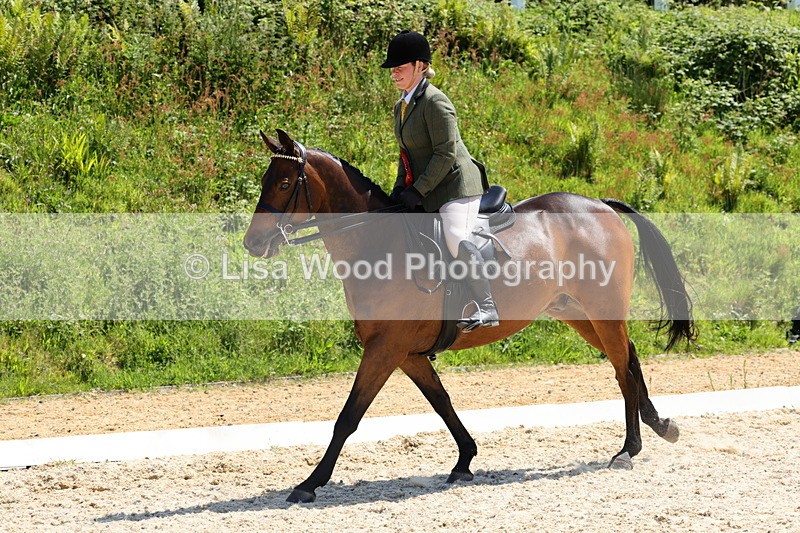1X9A1930 - Class 12: Ridden Riding Horse/Hack