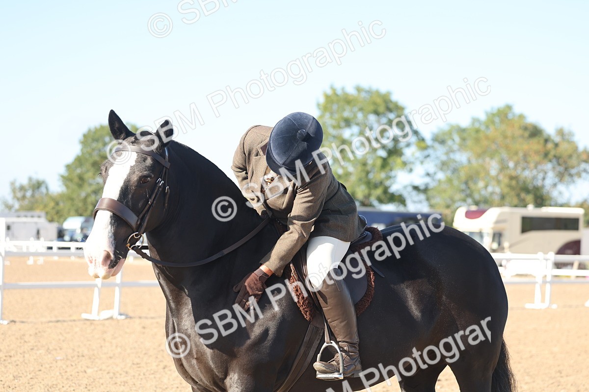 SBM_22228 - Class 802 - Ridden Groom Helpers Class
