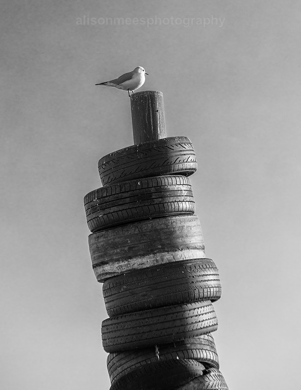  - Landscapes & Seascapes