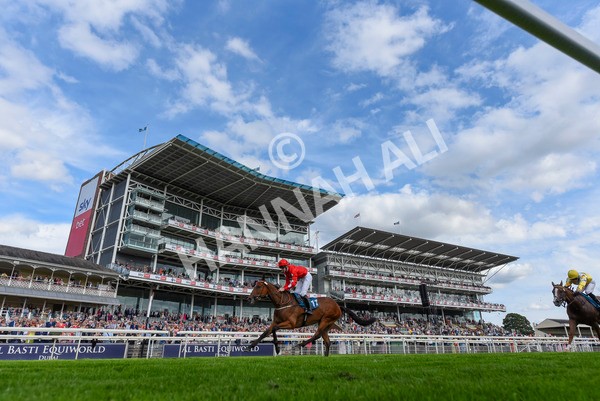 280723-Race 1-Tele Red-8724 - Race 1 5.00pm Pearly Cow Handicap