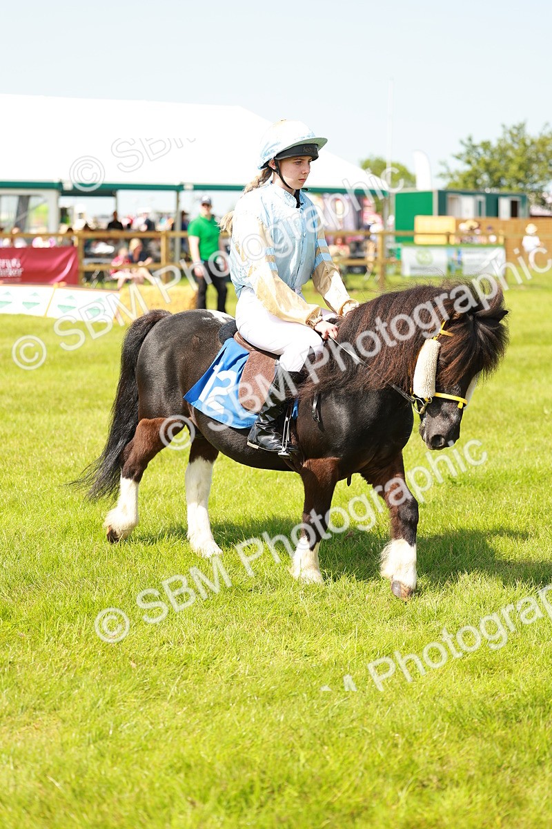 SBM_04538 - Shetland Grand National