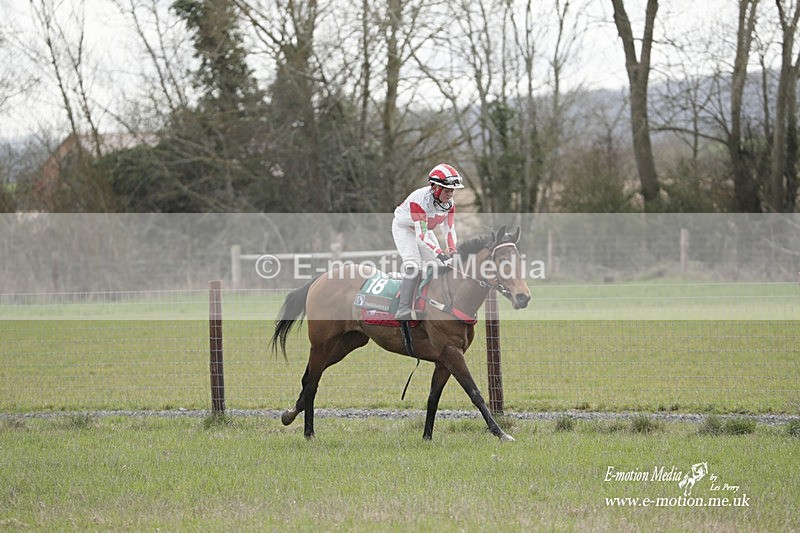 PtP 180323 204 - Shelfield Park Races with Croome & West Warwickshire Hunt  18/03/23