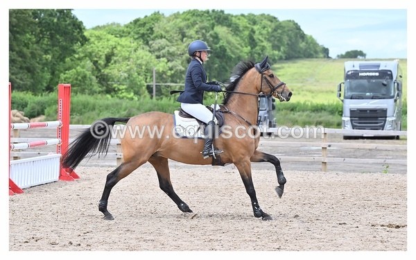 BPP_1185 - CLASS 6 FRI Senior Foxhunter/ 1.20m Open