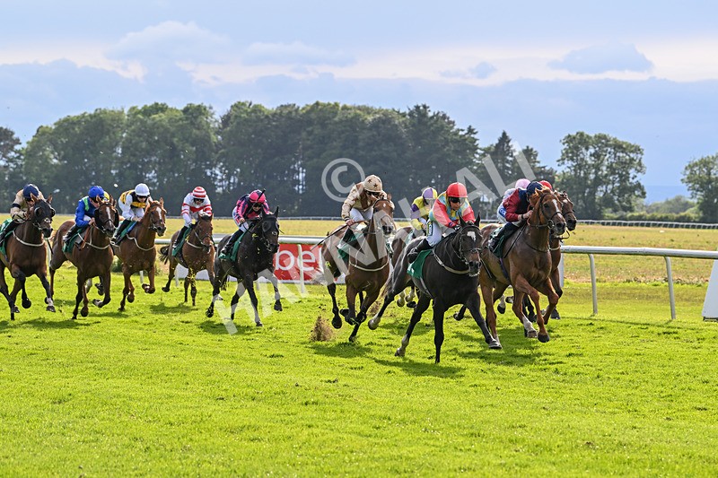 160624-Race 6-Letsbefrank-9191 - Race 6