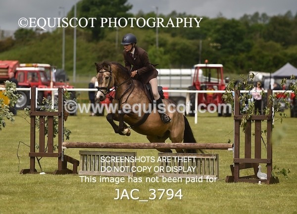 JAC_3794 - 65cm WORKING HUNTER