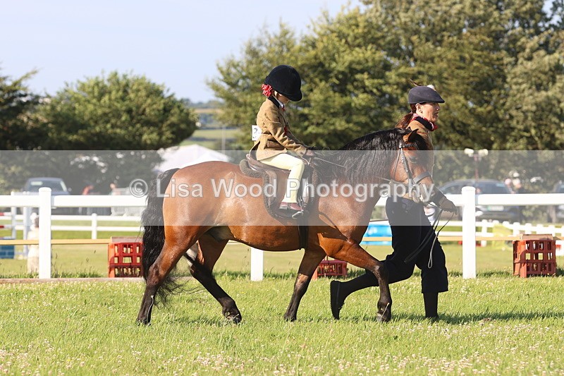JPP_0916 - Class 16: Cornish Combination Leading Rein