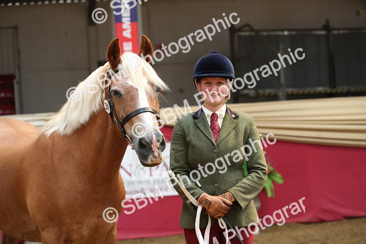 SBM_05319 - Class 8R - Regional IH Veteran