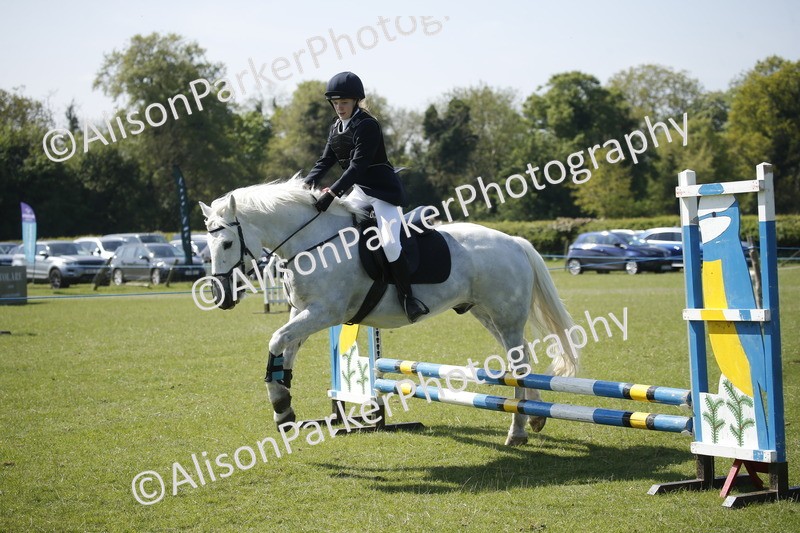 20250427-2194 - Class 13 - Novice Jumping 60cm