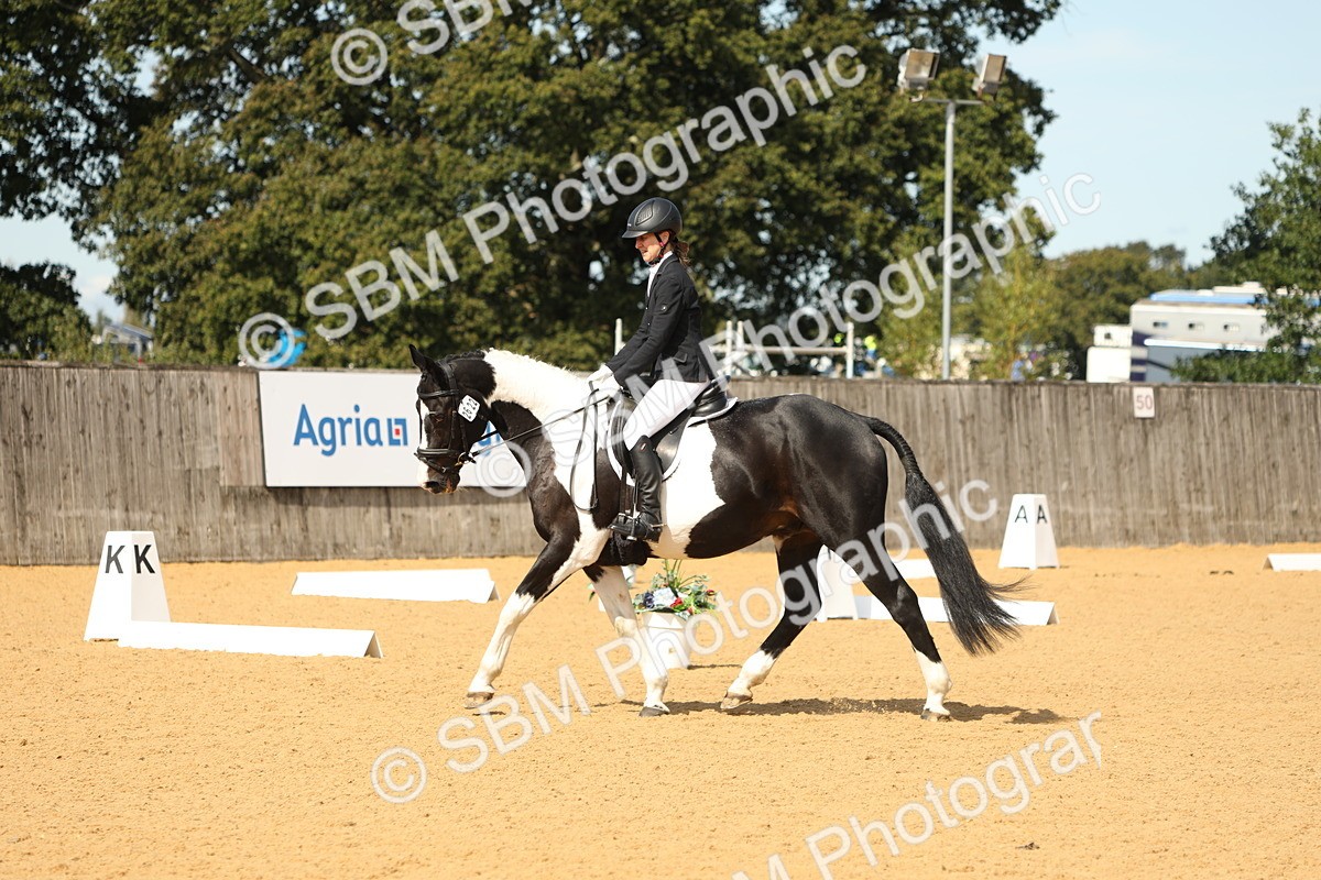 SBM_22163 - D17 - Grand Tour Championship - Novice 27