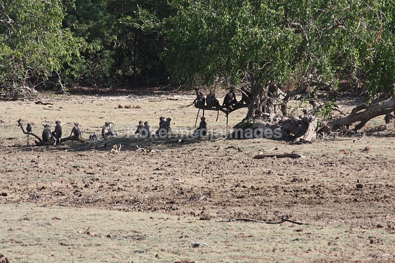  - Travel and culture