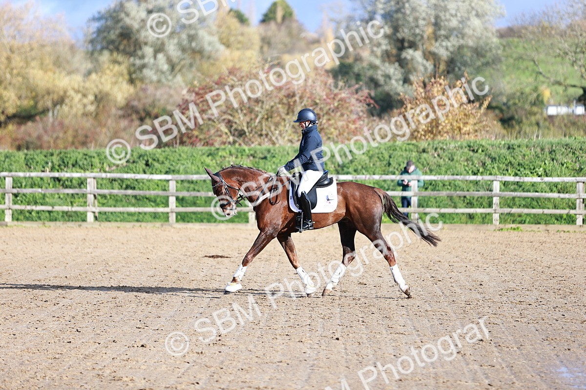 SBM_000342 - Ele 4