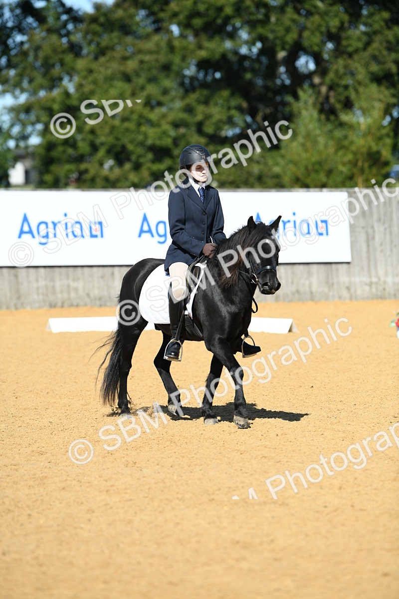 SBM_18163 - D4 - Small Tour Championship - Intro B