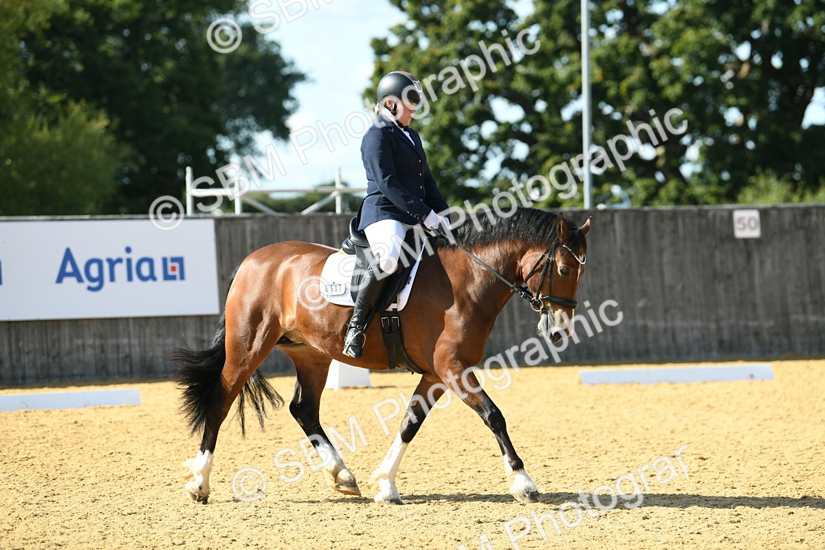 SBM_25021 - D13 - Grand Tour Championship - Prelim 12