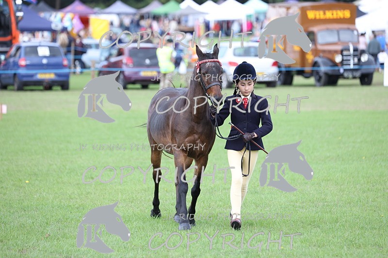 APP_2633 - Class 9 Veterans in hand