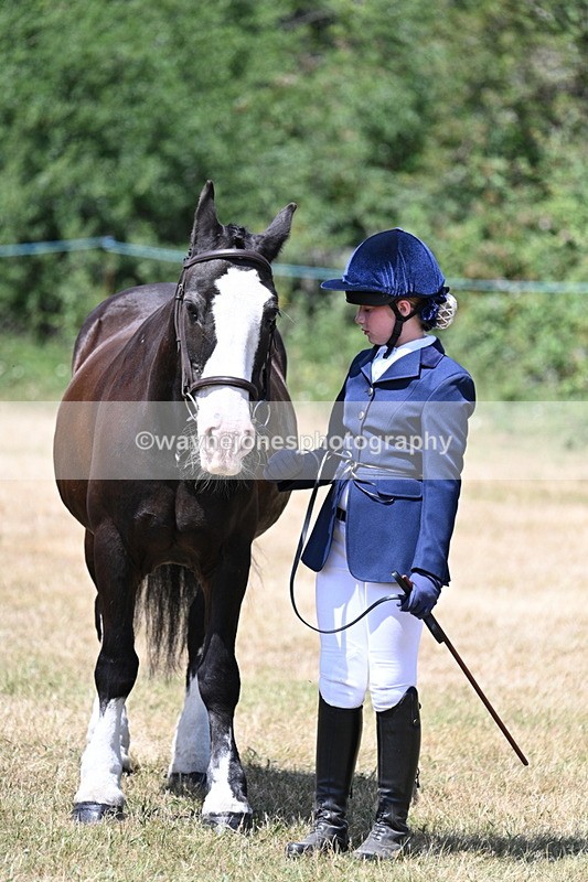 WJ7_2202 - Class 5 Most Handsome Gelding (up to 14.2hh) in hand