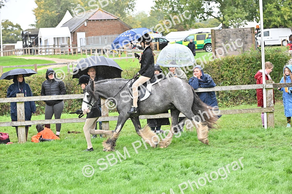 SBM_42985 - S12 - Family Horse & Pony