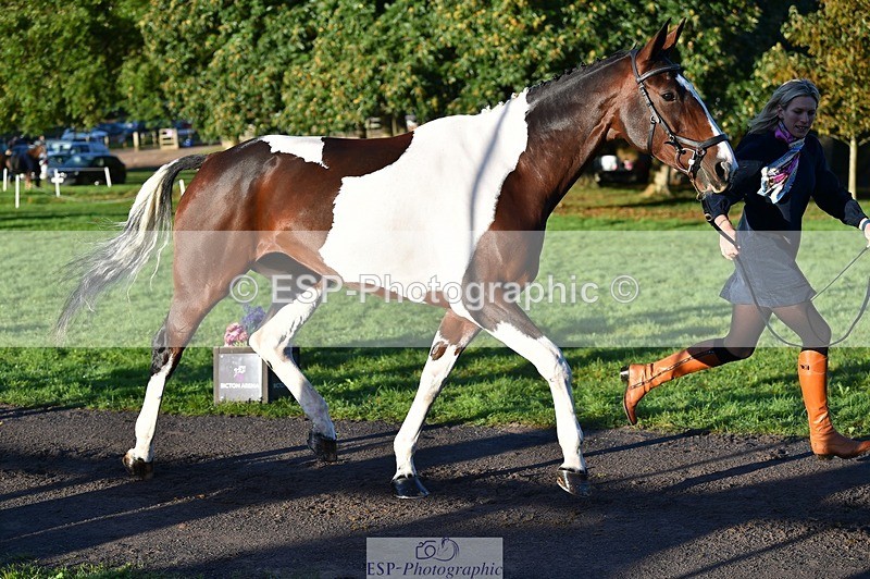 231022-085818-21479 - 669-FOXRIDGE.HIGH.JINX-Claire.Deuten-TrotUp+SJ