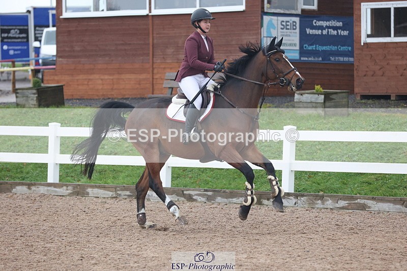 231112A-100957-03229 - Cls 17 Blue Chip Novice Winter Qualifier