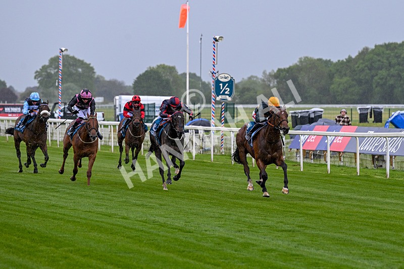 130526-Race 1-Cut A Dash-1956 - Race 1 1.45pm British Stallion Studs EBF Novice Stakes