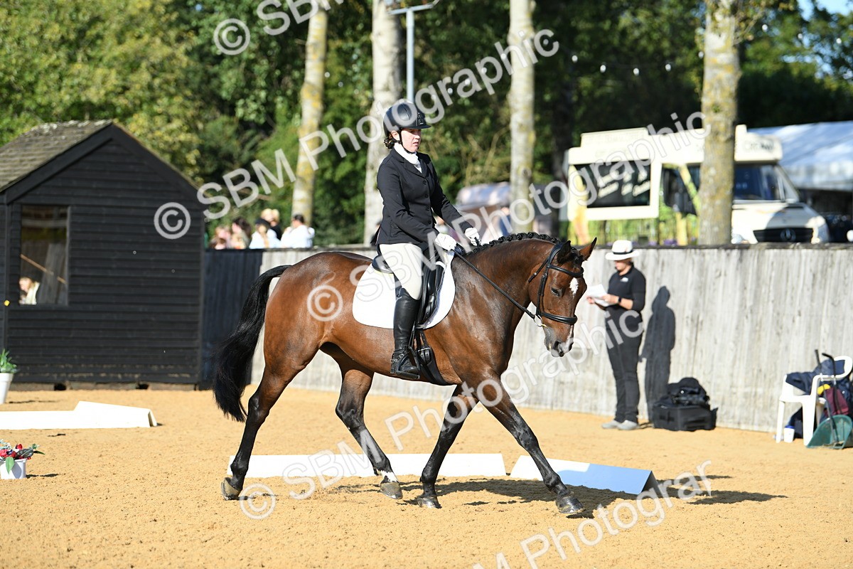 SBM_28409 - D16 - Small Tour Championship - Novice 28