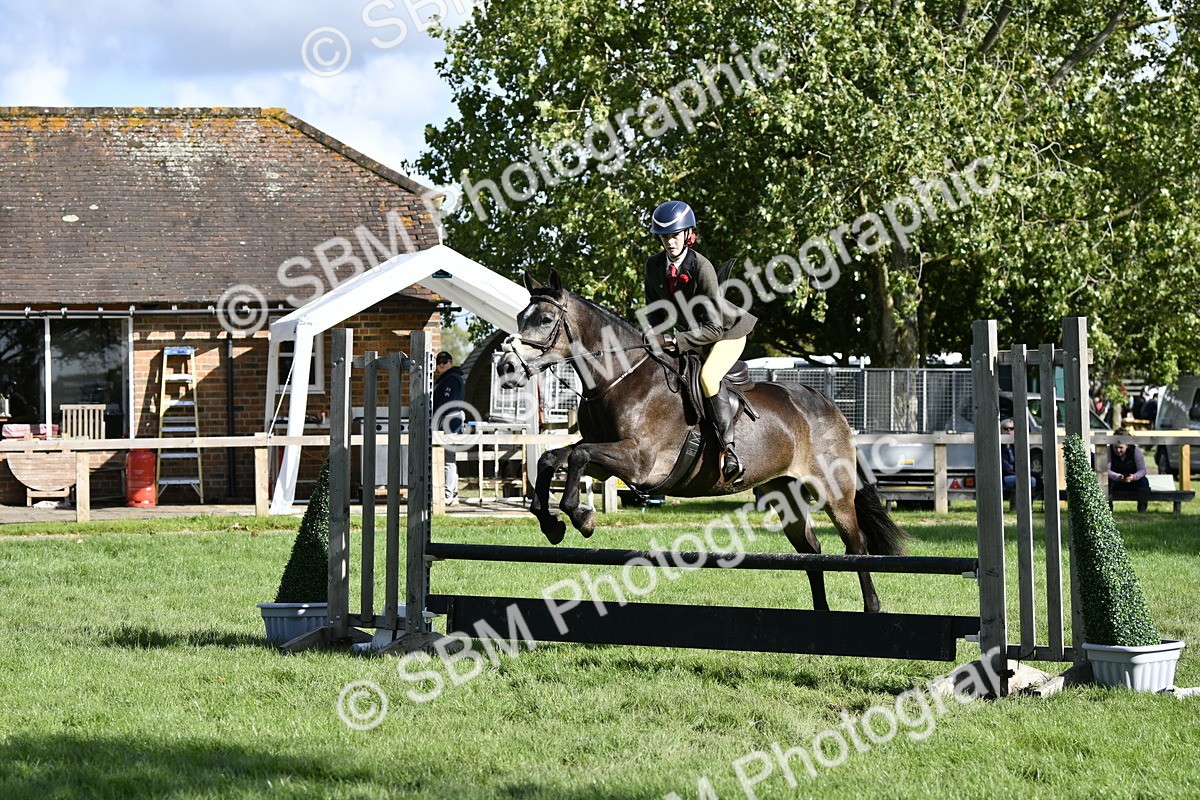 SBM_49982 - S34 - Novice & Newcomers Working Hunter