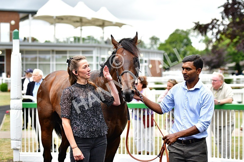 170625-Race 5-Blue RC-4058 - Race 5