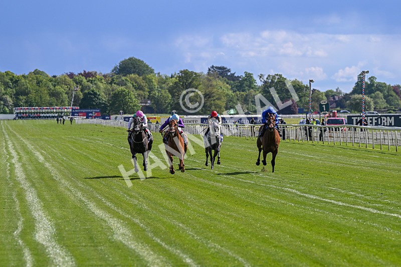 140526-Race 4-See The Fire-5119 - Race 4 3.30pm Al Basti Equiworld Dubai Middleton Fillies' Stakes