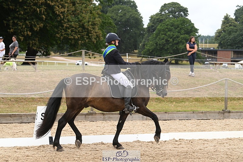 250719A-161222-08119 - Saturday Presentations