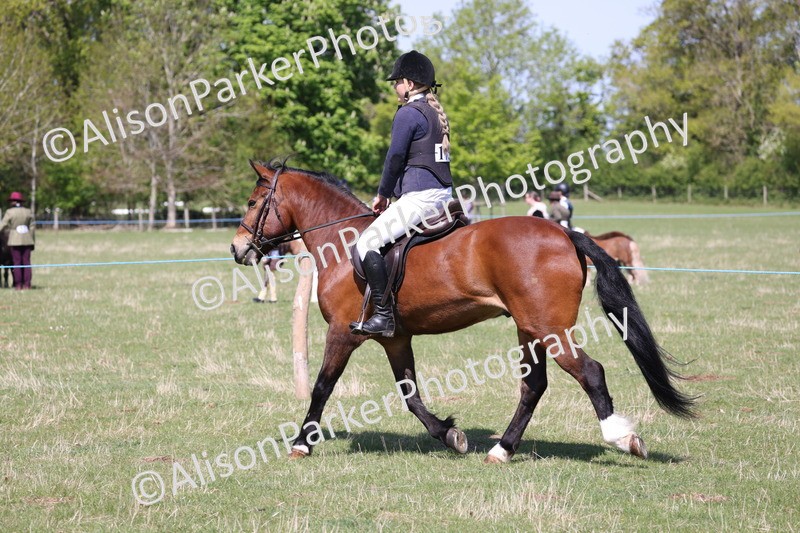 20250427-3205 - Class 33 - Best Pony 14.2hh and Under